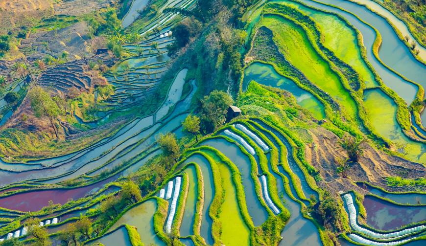 宝妈必备神器：彭水产品视频拍摄轻松育儿好帮手