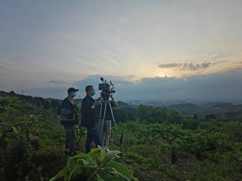 创意破圈！彭水电商产品宣传视频用故事化叙事引爆流量