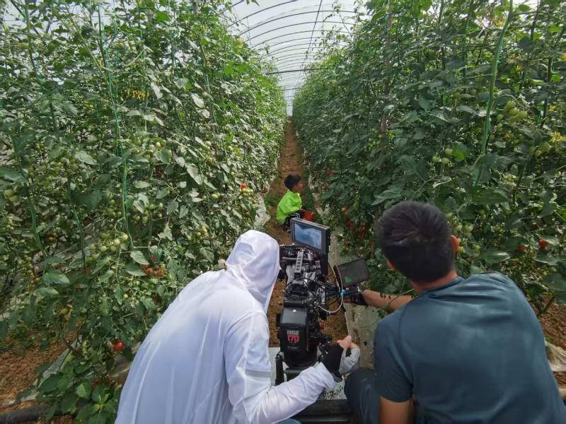 彭水产品宣传视频拍摄公司进阶指南，助力品牌抢占传播高地